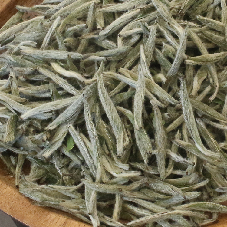 炭焙白毫银针福鼎高山白茶老树