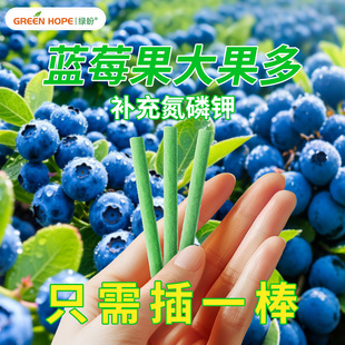 蓝莓缓释肥营养棒专用肥料氮磷钾蓝莓树有机肥复合肥酸性改善盆栽