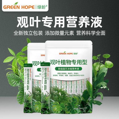 观叶营养液绿植盆栽室内家用有机