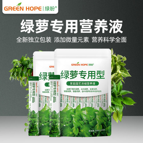 绿萝营养液家用叶子发黄室内水培