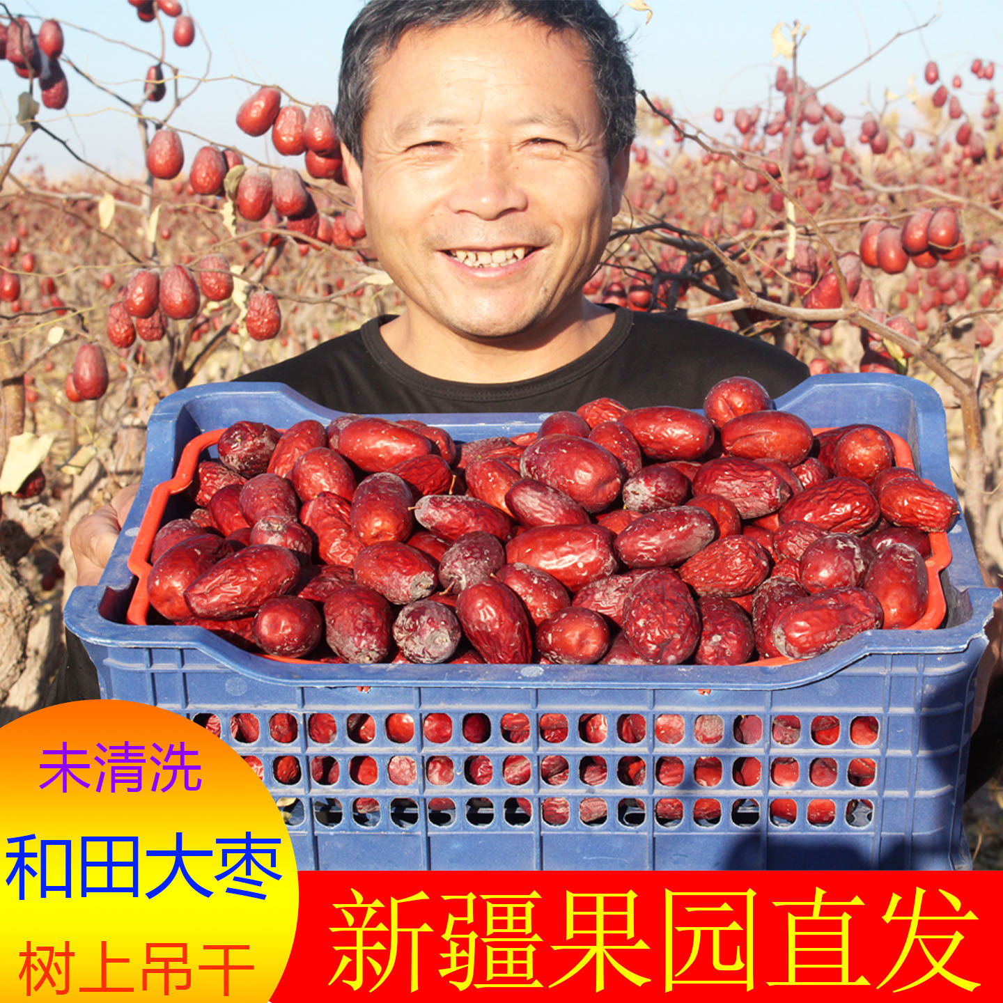新疆正品阿克苏沙漠精品和田大枣自然吊干优质红枣特产中药材枣子