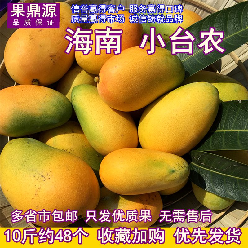 10斤海南小台农芒果新鲜水果现货广西鸡蛋果热带树上熟甜芒果当季