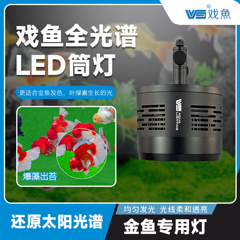 戏鱼全光谱增色金鱼暴藻灯阿波罗