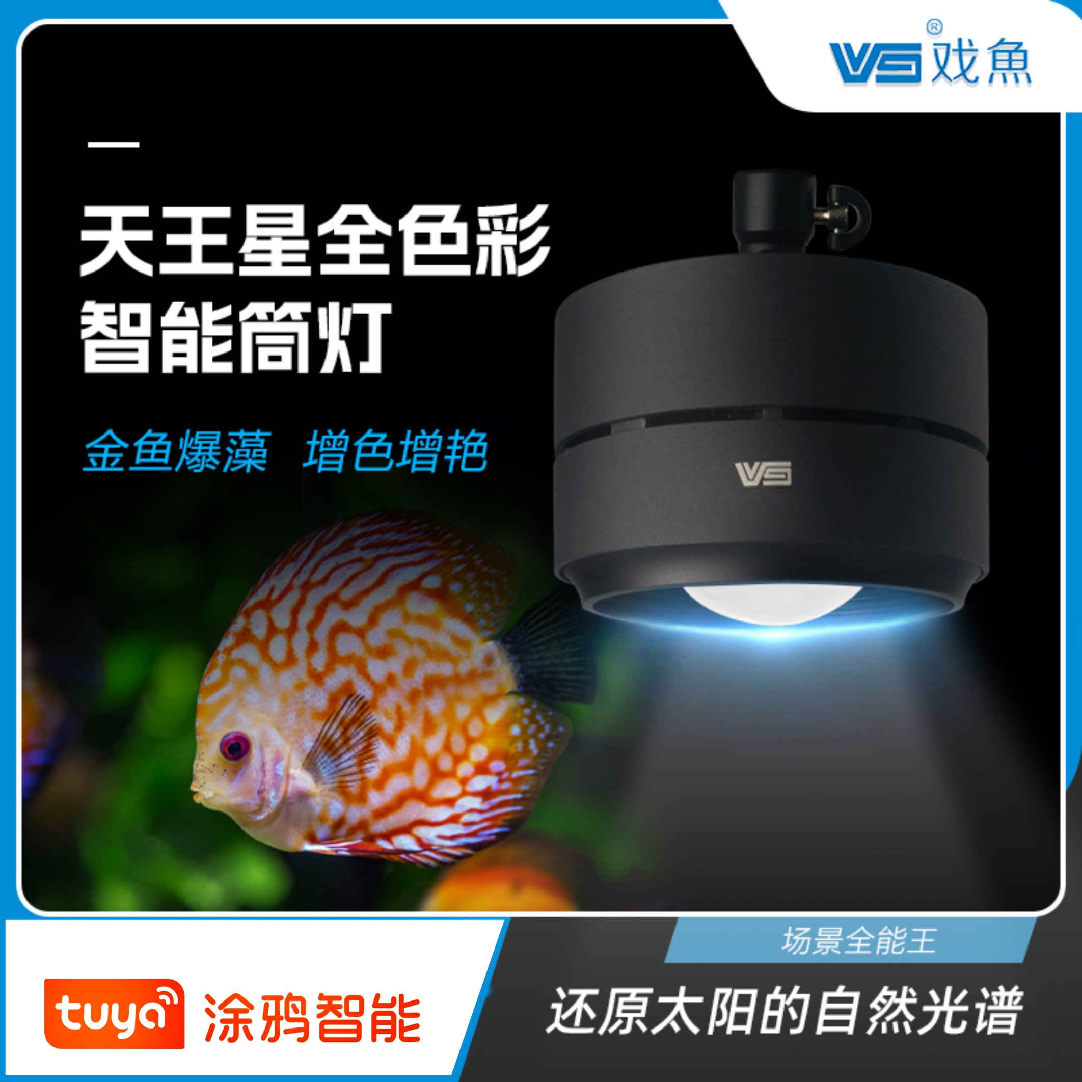 戏鱼涂鸦智能LED鱼缸筒灯