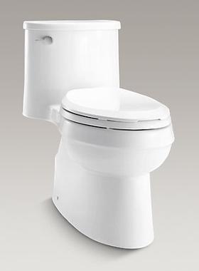 科勒正品五级旋风艾黛儿K-5171T-CM-0连体马桶坐便器限时促销