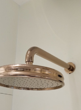 KOHLER/科勒 随心雨8英寸淋浴顶喷花洒全铜 K-15990T-AF/RGD 特价