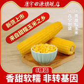 康宇田源糯玉米新鲜黄玉米棒真空8根来自中国甜糯玉米之乡五寨