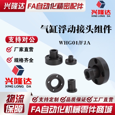 WHG01浮动接头FJA3FJA5FJA8FJA10FJA14FJA16FJA20FJA36法兰安装型