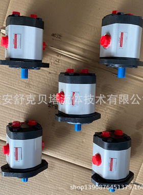 CB2A-F21SXA系列双向齿轮泵