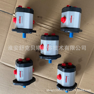 F21SXA系列双向齿轮泵 CB2A