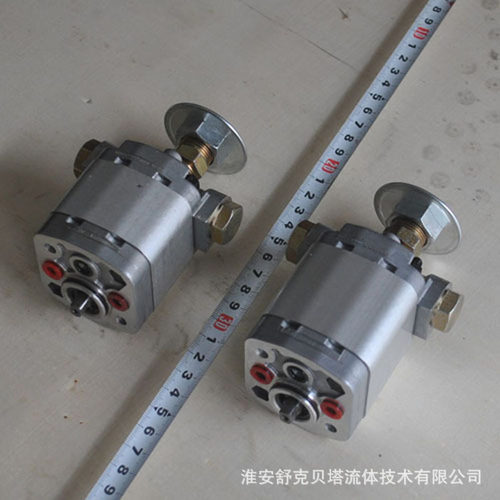 CB-E1.5ST全自动路障系列双向齿轮泵