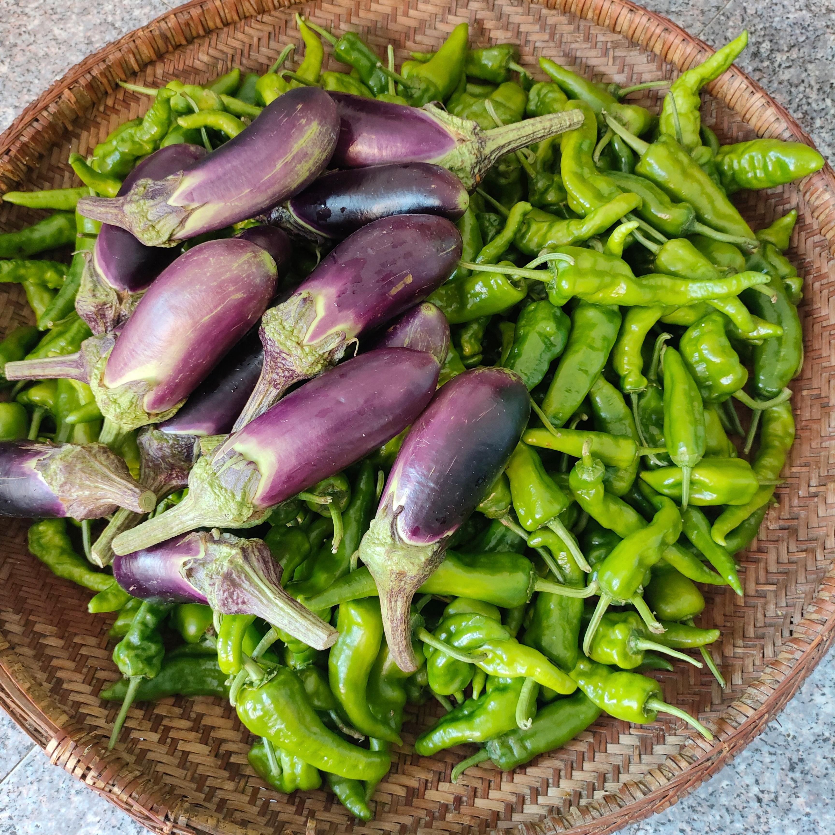新鲜时令蔬菜 湖北宜昌特产农家蔬菜土辣椒茄子南瓜混搭五斤包邮