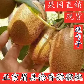 陕西眉县现摘时令孕妇徐香猕猴桃