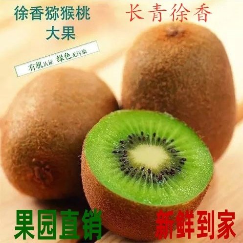 陕西眉县徐香猕猴桃新鲜时令现摘绿心奇异果孕妇水果特大果包邮,水产肉类/新鲜蔬果/熟食,奇异果/猕猴桃,淘宝优惠券,粉丝福利购,淘宝优惠卷