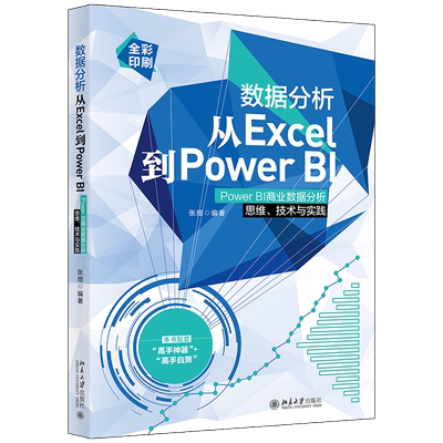 数据分析从Excel到Power BI：Power BI商业数据分析思维、技术与实践 北京大学旗舰店正版