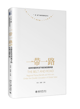 一带一路：全球价值双环流下的区域互惠共赢 一带一路协同发展研究丛书 北京大学旗舰店正版