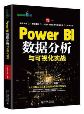 Power BI数据分析与可视化实战 Excel Home 北京大学旗舰店正版