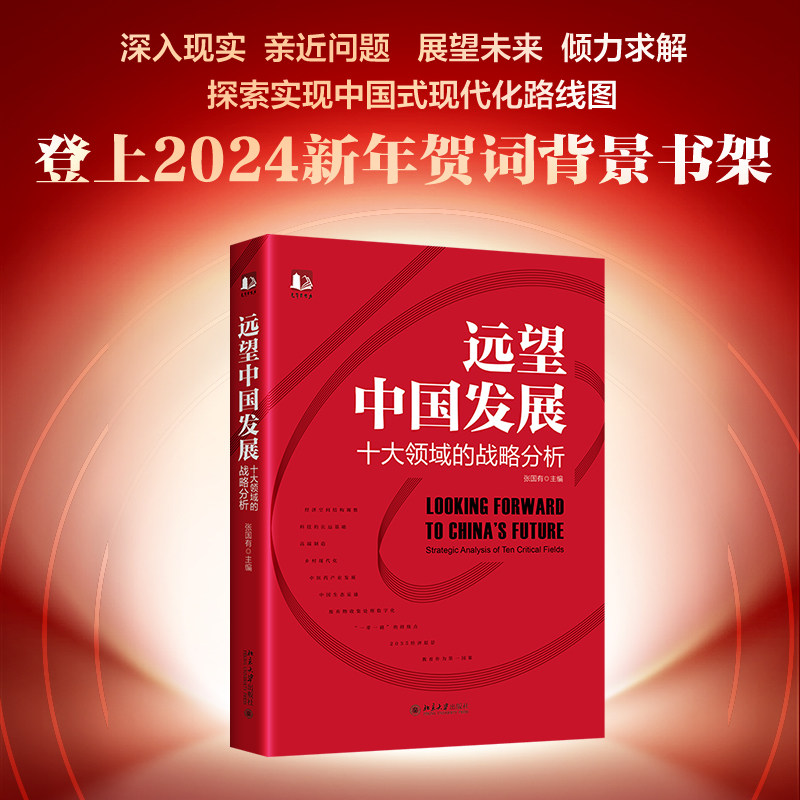 远望中国发展 十大领域的战略分析 张国有 探索实现中国式现代化路线图 10个领域未来发展战略关注点 国家战略 北京大学旗舰店正版