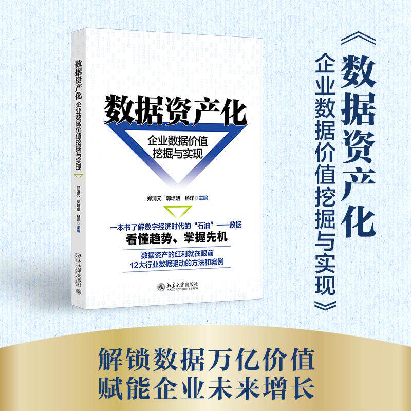 数据资产化：企业数据价值挖掘与实现 郑清元 北京大学旗舰店正版