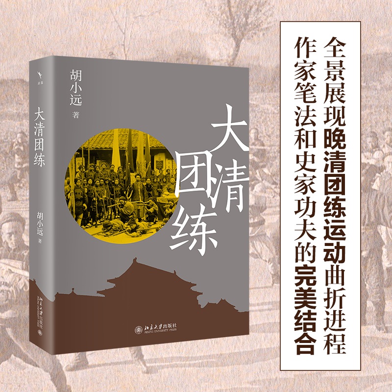签名版 大清团练 胡小远 晚清团练运动历史 地方民间组织武装力量守城防盗 中国近代化开端 地方政治社会结构 北京大学旗舰店正版