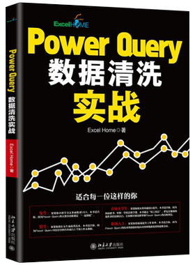Power Query数据清洗实战 北京大学旗舰店正版