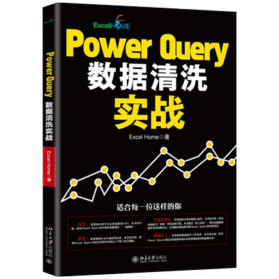 Power Query数据清洗实战 北京大学旗舰店正版