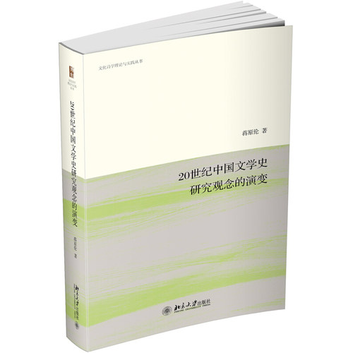 20世纪中国文学史研究观念的演变 文化诗学理论与实践丛书 北京大学旗舰店正版