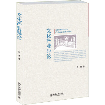 文化产业导论 向勇 文化产业的价值创新 文化产业价值转换 社会治理 组织管理  创意领导力 文化金融 文化治理 北京大学旗舰店正版