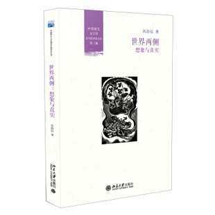 世界两侧:想象与真实 现代文学馆青年批评家丛书 北京大学旗舰店正版