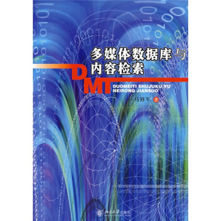 马修军 多媒体数据库与内容检索 9787301099209 北京大学出版 社