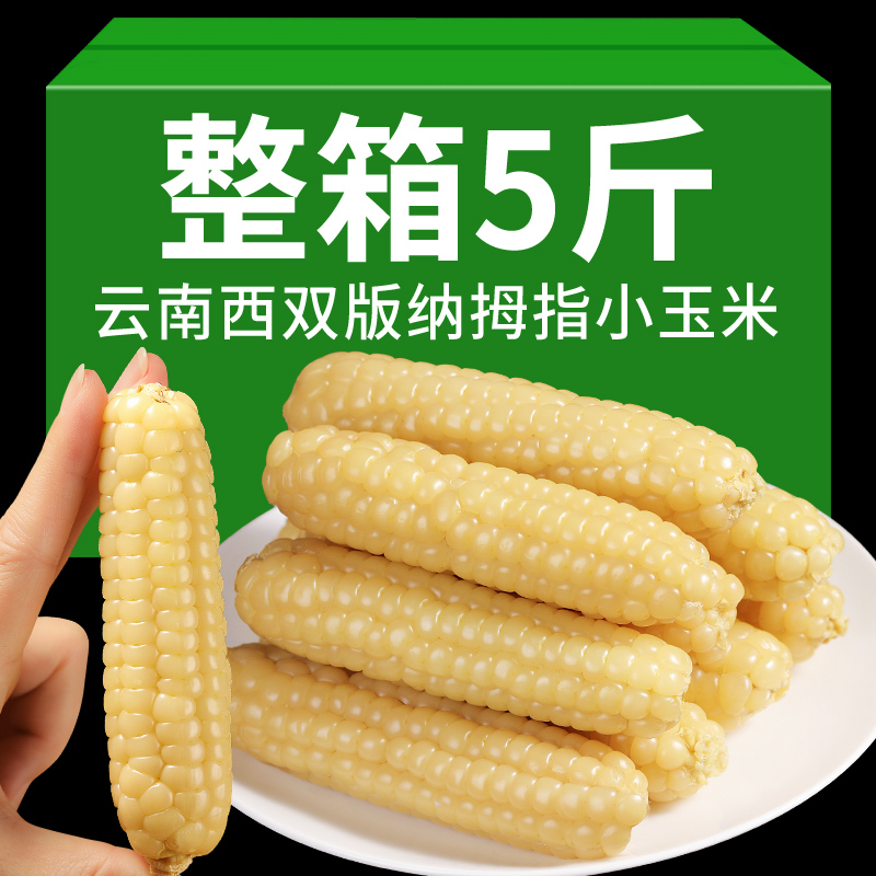 云南西双版纳香糯拇指小玉米傣家手指玉米新鲜即食代餐迷你玉米