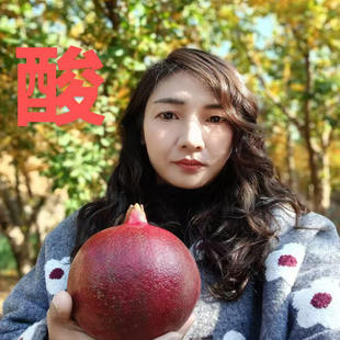 云南泡酒水果正宗黑珍珠酸甜石榴红皮黑籽特大果新鲜爆汁直发包邮