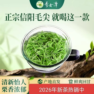 秀女潭正宗信阳毛尖明前茶特级春季绿茶罐装125g一芽一叶清爽柔和