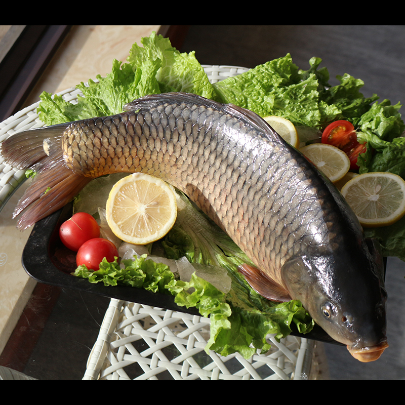 查干碧水冬捕鲤鱼淡水鱼新鲜捕捞活鱼冷冻礼盒包邮