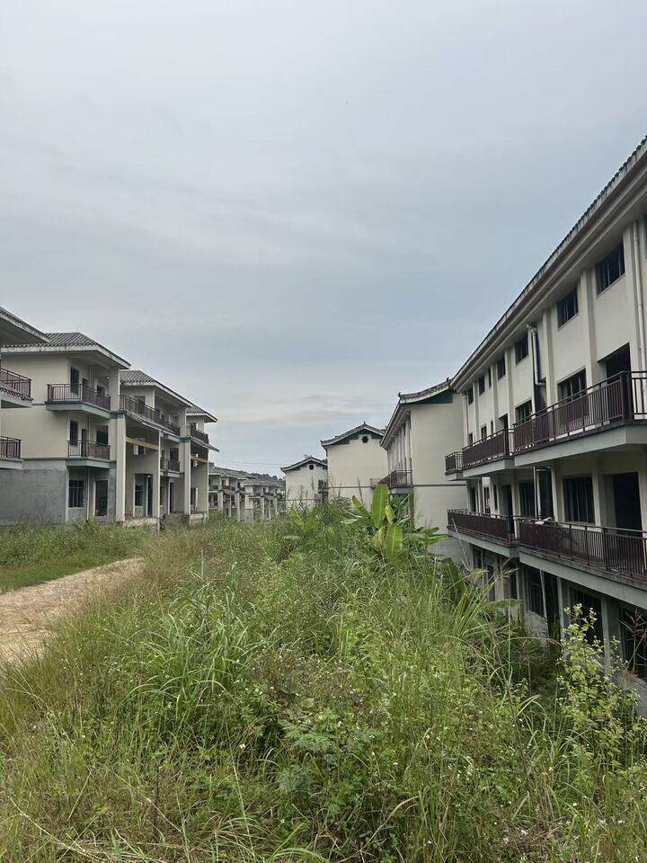 3月27日百色在建工程和国有土地使用权及其地块上的所有建筑物和附着物网络拍卖公告