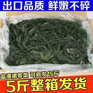 裙带菜烫三秒裙带叶海白菜海带芽海藻菜海菜出口韩国海带汤火锅食