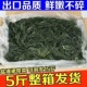 裙带菜烫三秒裙带叶海白菜海带芽海藻菜海菜出口韩国海带汤火锅食