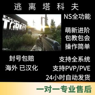 逃离塔科夫NS天周月稳定升级教学支持PVE/PVP雷达陪玩欧蓝边账号
