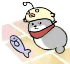 确认地址等 邮费 无沟通不要拍 拍：补差价 万能一元