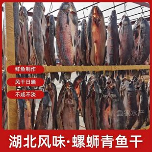 湖北特产螺蛳青鱼大青鱼干腊鱼水库咸鱼风干整条农家自制年货礼盒