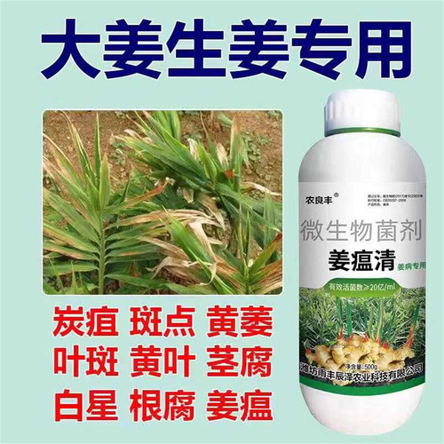 大姜生姜专用肥农用抗病水溶肥料