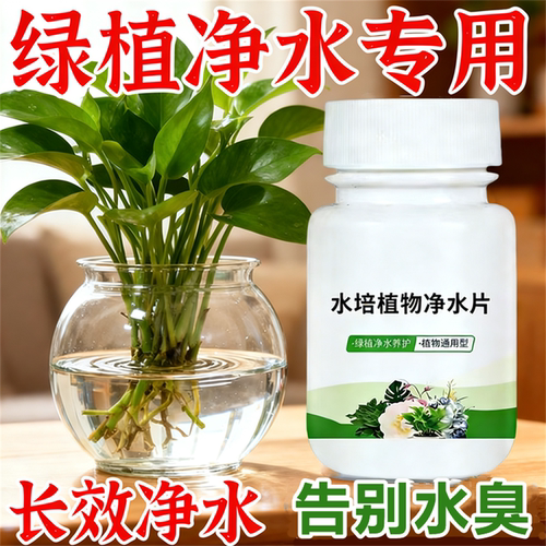 水培植物净水片长效净水告别水臭