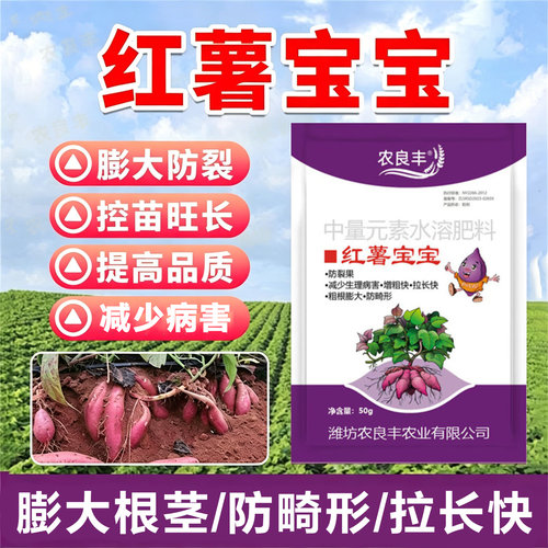 红薯宝宝叶面肥控旺防裂增产肥料