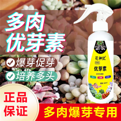 多肉专用爆芽素促生长侧芽营养液