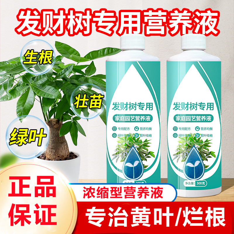 发财树专用营养液水培室内盆栽植物营养液通用型肥料水溶肥治发黄,鲜花速递/花卉仿真/绿植园艺,家庭园艺肥料,淘宝优惠券,粉丝福利购,淘宝优惠卷