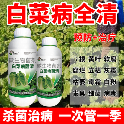 白菜专用叶面肥杀菌防害提质增产
