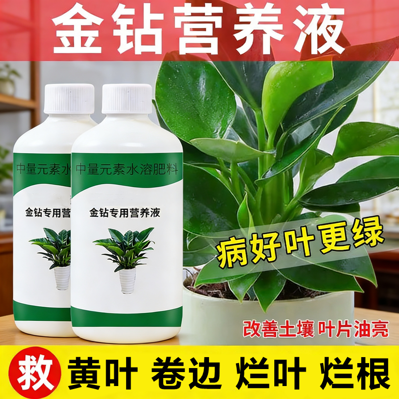 金钻营养液专用肥红钻绿公主土培水培植物室内盆栽绿植有机液体肥,鲜花速递/花卉仿真/绿植园艺,家庭园艺肥料,淘宝优惠券,粉丝福利购,淘宝优惠卷