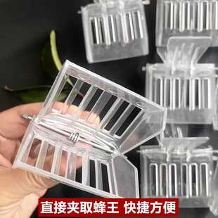夹子王笼塑料书夹式王笼蜂王夹子塑料囚王笼抓王夹养蜂蜂具