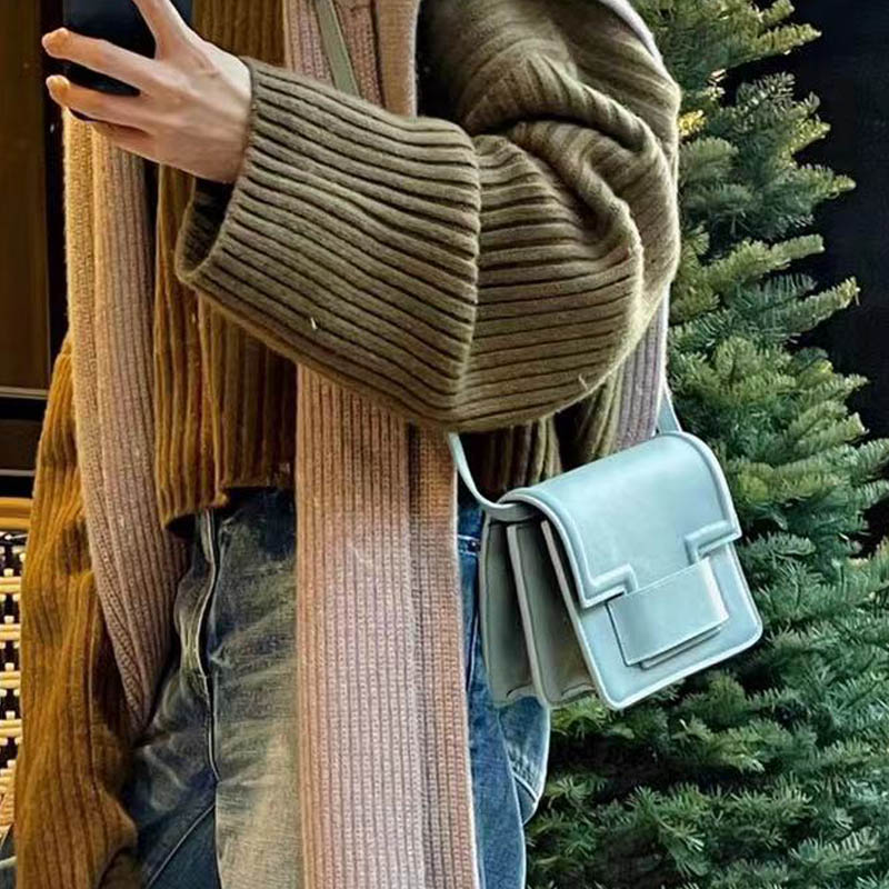 DRESSCODE 小众轻奢小红书大王同款台湾设计师 小牛皮包包