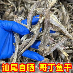 汕尾本港海欧丁鱼哥丁鱼干海鲜干货 哥西丁鱼脯那哥丁补野生包邮